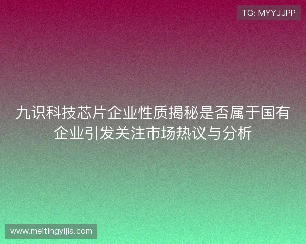 九识科技芯片企业性质揭秘是否属于国有企业引发关注市场热议与分析